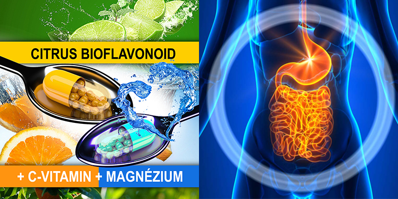 vastagbél méregtelenítés vastagbél c-vitamin a kentaur parazita kezelése